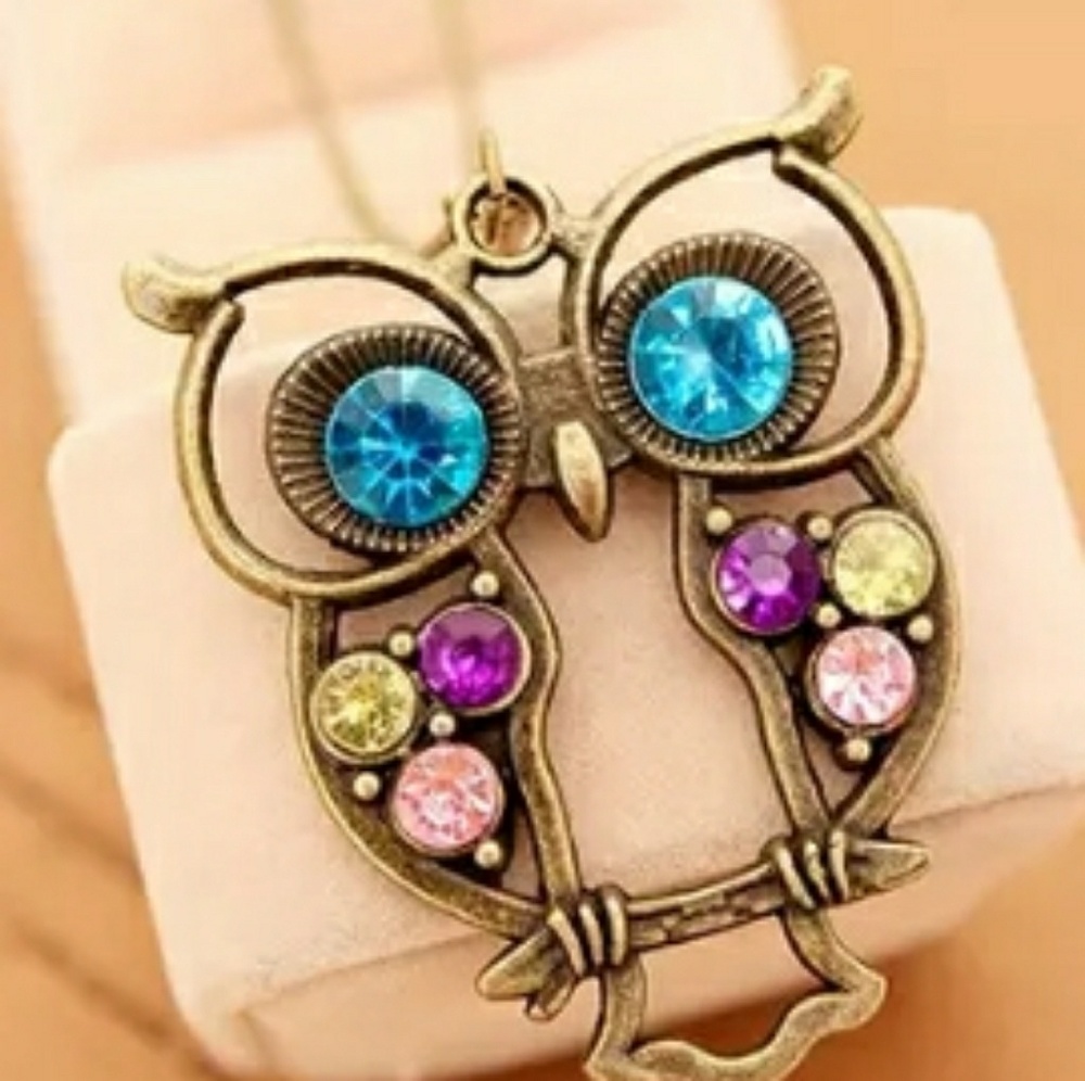 Large Owl Pendant Necklace